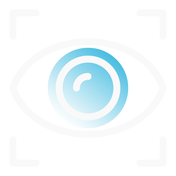 External Audit Icon