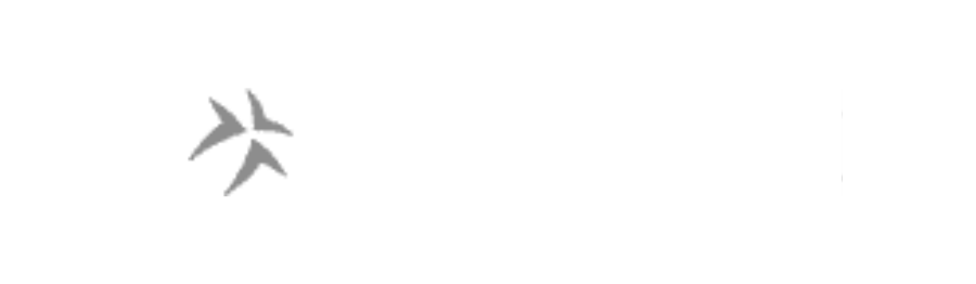AVENSURE White Logo
